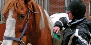 Rideskole_600x300