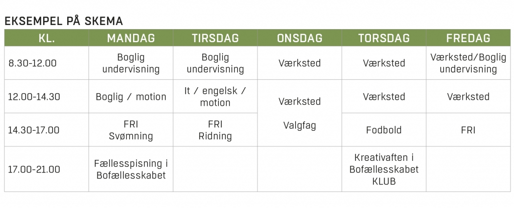 Skemaer_eksempel